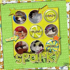 Sparky-1.jpg