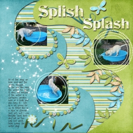 Splish-Splash8.jpg