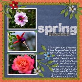 Spring-Flowers-web.jpg