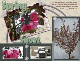 Spring-Snow_edited-1.jpg