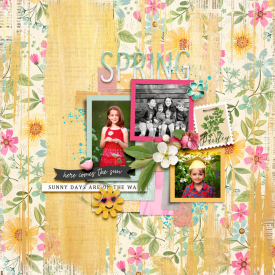Spring1web2.jpg