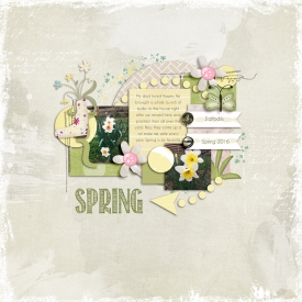 Spring3-WEB.jpg