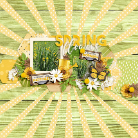 SpringFlowersklein.jpg