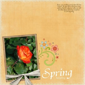 Spring_Rose_2008.jpg