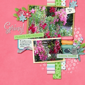 Spring_amber_700.jpg