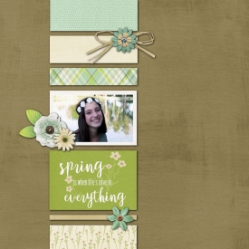 Springtolifealt700.jpg