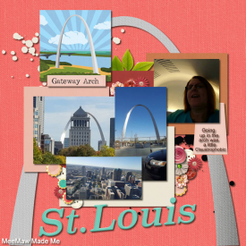 StLouis-50States-Missouri-KellyBangsCreative.jpg