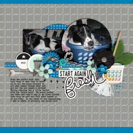 Start_Again_Fresh_cleaning_2013_smaller.jpg