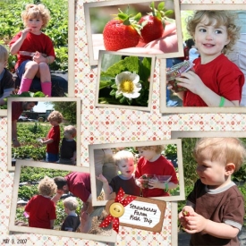 StrawberryFarmForWeb.jpg