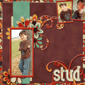 Stud-for-web.gif