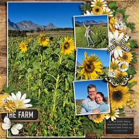 Sunflowers2.jpg