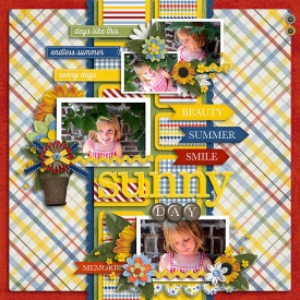 Sunny_day_copy.jpg