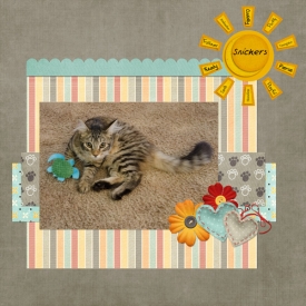 Sunshine-Kitty.jpg