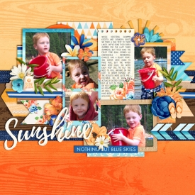 Sunshine-small3.jpg