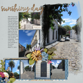 Sunshiny_Day_Uruguay_Sun_march_17_2019_smalelr.jpg