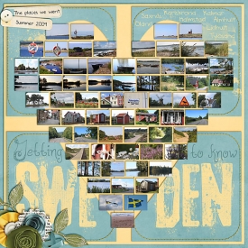 Sweden-2009-Heart-copy.jpg