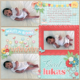 Sweet-Lukas-web.jpg
