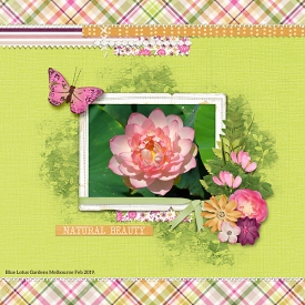 Sweet-Shoppe-13th-birthday-Feb-20-Digital-Scrap-Ingredients.jpg