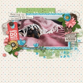 T1_-_dt-CelebrateScrap-template1_600.jpg