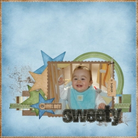 THoward_SSDCookie0813081.jpg