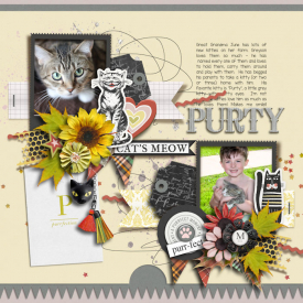 TNP_CATS_MEOW_JILL.jpg