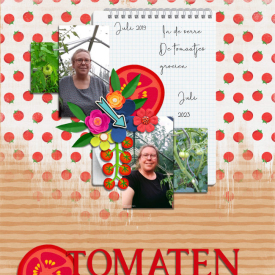 TOMATEN_2019-2023.jpg