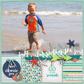 TPS-JULY2015-Vitamin-Sea.jpg