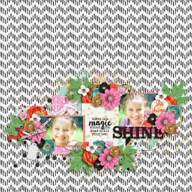 TTT-SB-SHINE.jpg