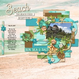 The-Beach-Fixes-Everything-web.jpg