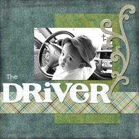 The-Driver_150.jpg