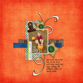 The-PatchWEB-LP.jpg