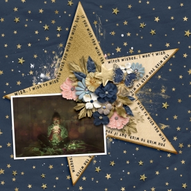 The-Wishes-I-Wish.jpg
