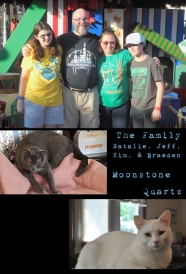 TheFam_web.jpg