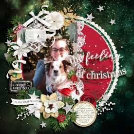 TheFeelingOfChristmasweb.jpg