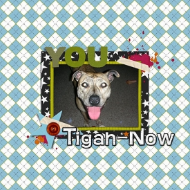 Tigah-now.jpg