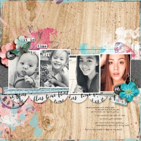 Time-To-Fly-small.jpg