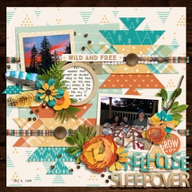 Treehousesleepover2018web.jpg