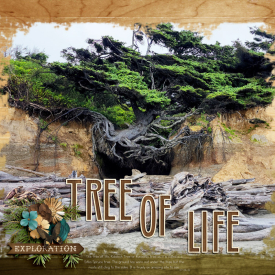 TreeofLife2022web.jpg