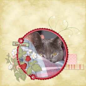 TrueLove-web.jpg