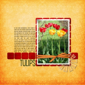 TulipsLOSample.jpg