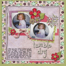 Tumble_Dry_2002.jpg