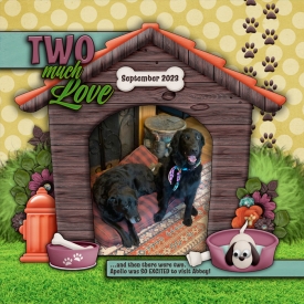 TwoMuchLove.jpg