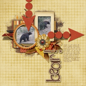 U-1004-Bear.jpg