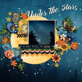 Under-the-Stars1.jpg
