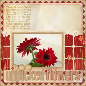 UnpickedFlowersLOSample.jpg