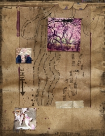 Untitled-2_zps8e5e13cf.JPG