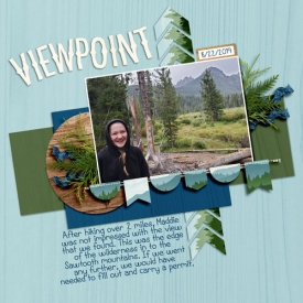 Viewpoint1.jpg