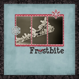 W12RWC-Frostbiteweb.jpg