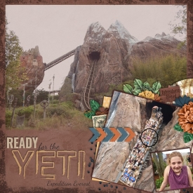 WDW_-_Animal_Kingdom_-_Expedition_Everest_-_Compressed.jpg