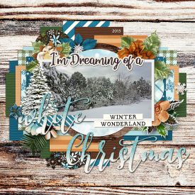 WEB_2015_Winter-Wonderland.jpg